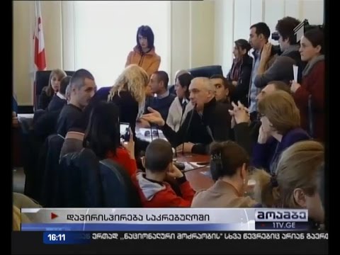 ელიზბარაშვილის ძაღლების თავშესაფრის წინააღმდეგ შეტანილი განცხადების განხილვა საკრებულოში