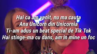 Ana Beregoi feat. Iuliana Beregoi - Tiki Toko (Versuri / lyrics)