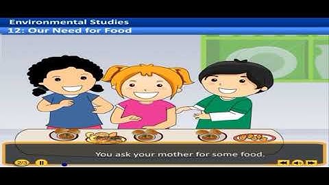 12 our need for food | 3rd environmental studies