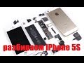 IPhone 5S как разобрать (how to disassemble) замена динамика,АКБ,камеры