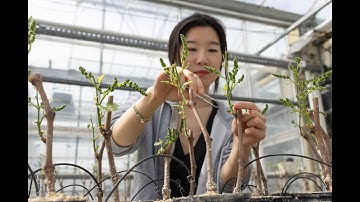 Presentation of EGFV research unit