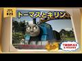 きかんしゃトーマス原作出版80周年記念 　モデル＆CGアニメシリーズ　ザ