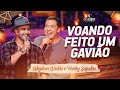 Gleydson gavio e wesley safado  voando feito um gavio ep voando feito um gavio  parte 1