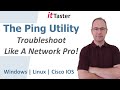 The Ping Utility | Troubleshoot Like A Network Pro