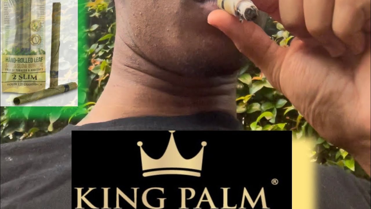 FIRST TIME SMOKING A KING PALM 💨 🌴