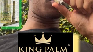 FIRST TIME SMOKING A KING PALM 💨 🌴