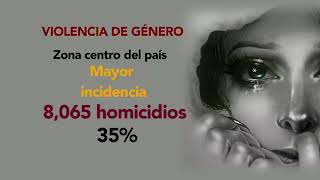 Cifras del INEGI revelan datos duros en cuanto a la violencia de género Cifras del INEGI revelan datos duros en cuanto a la violencia de género