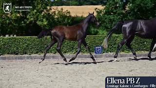 ELLENA PB Z