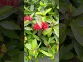 যা করলে তো ভালো করলি #foryou #baulgaan #ভাইরাল #funny #unfrez #ইউটিউব #nature #ফরইউ #love #হাইলাইট