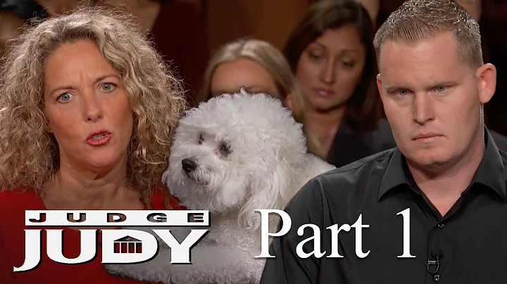 Is Dog Sitter Responsible for Bichon Attack? | Par...