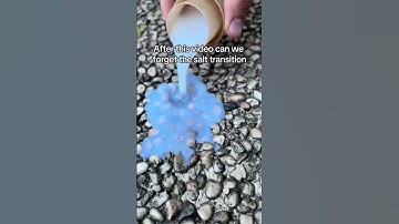 Forget salt transition salttransition transition visualtransition #Shorts #fun