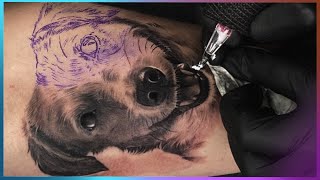 ✅[PASSO A PASSO] TATUAGEM DE PET EM REALISMO