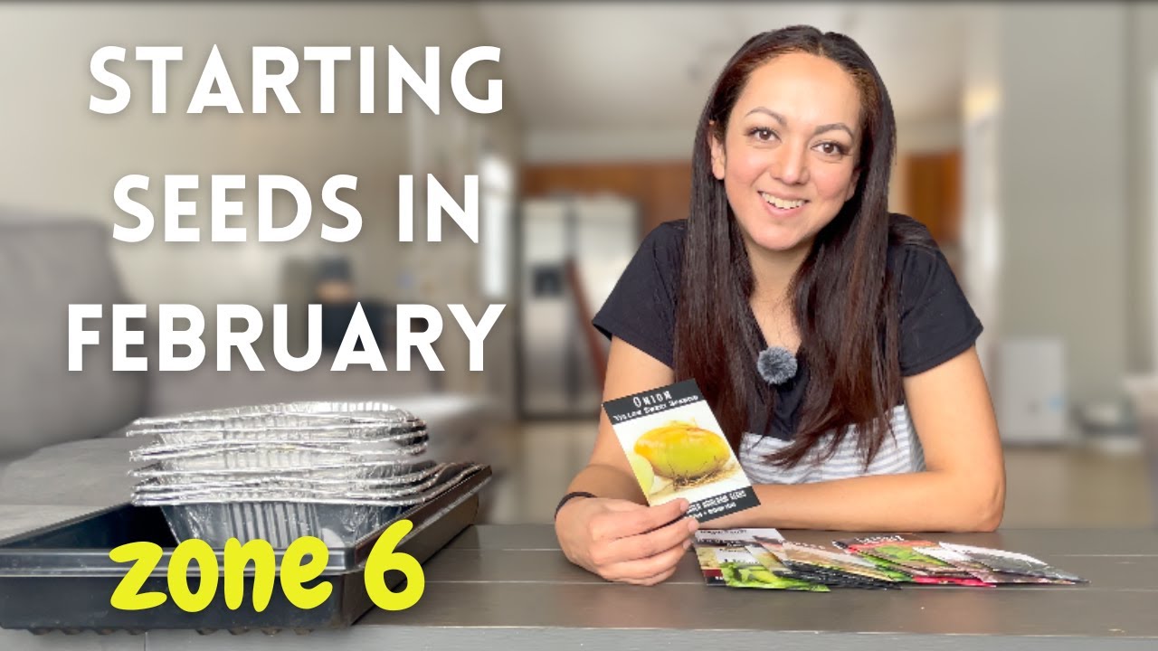 Seeds We Are Starting NOW in February | Zone 6