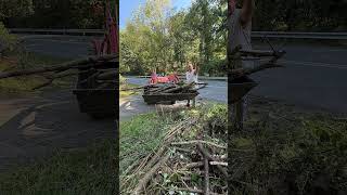 Tree removal time #trending #tree #treeremoval #workout #hot