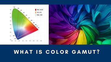 What are Color Gamut? Everything you need to know about REC.709, REC.2020 & DCI-P3 color standards