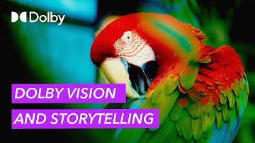 Dolby Vision and Storytelling