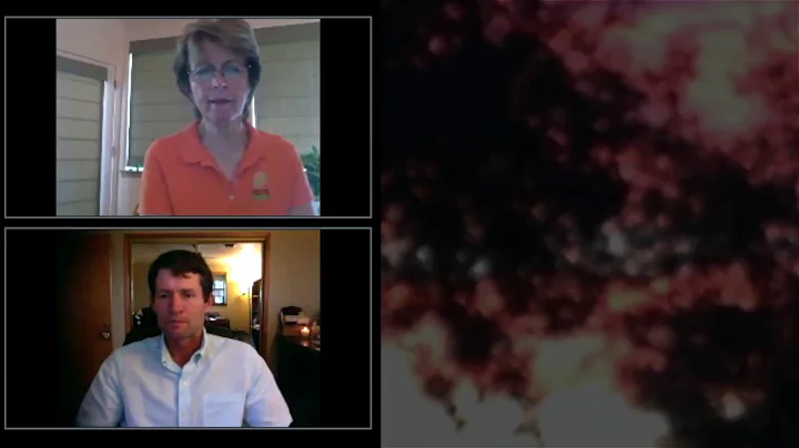 Interview with Peggy Cummings   The Importance of ...