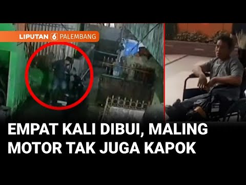 Epic JJ and Dark JJ Revenge for Mikey - Maizen Minecraft #minecraft #minecraftanimation #animation