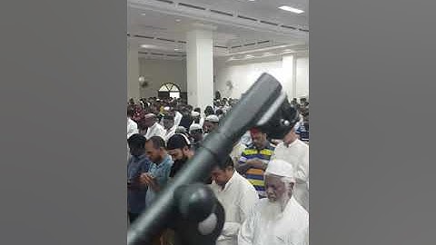 سورة ألقيامة ( القارئ محمد بكرى أبو الدهب )