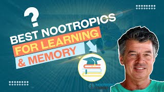 Best Nootropics for Learning and Memory