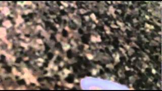 First Minutes on 1-1-11 (yto 247)