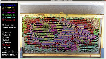 Automatic Assessment of Honeybee Cells Using Deep Learning