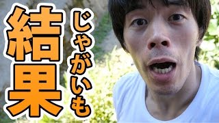 【結果】山の中のジャガイモ収穫してみた。。。