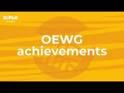 OEWG achievements