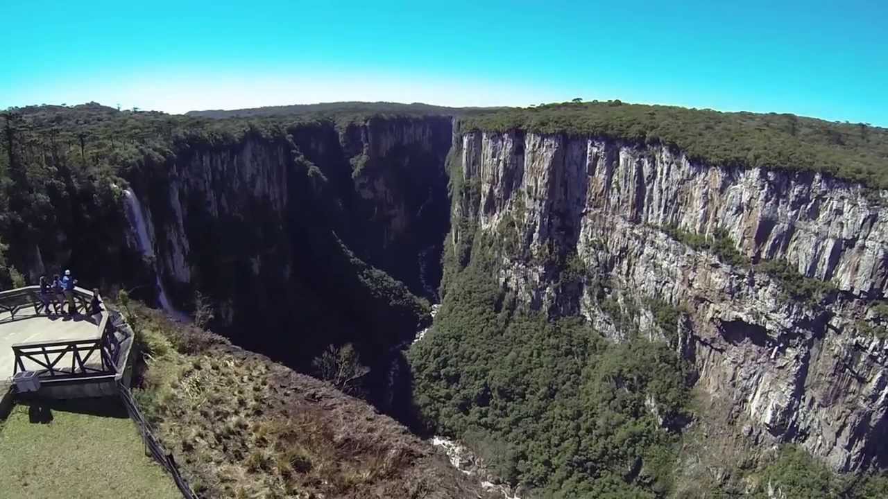 Resultado de imagem para CAMBARA DO SUL