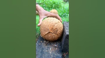 Super technique take the coconut meat