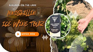 Inniskillin The Famous Canada Ice Wine “Vine to Barrel” Tour Experience Reveal