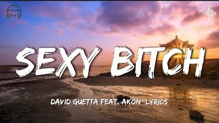 Sexy Bitch - David Guetta feat. Akon [Lyrics] Resimi