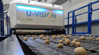 U-Vision, optical sorting machine for potatoes