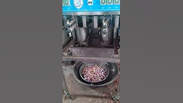 Máy Bóc Vỏ Tỏi 2 ống do Tech Garden sản xuất giao máy tại Cơ Sở Chế Biến Hành Phi Tỏi Nhơn Hòa