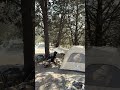 Tea, Tent &amp; Tranquility 🍂☕ | Alone in the Forest