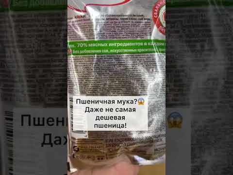 KITEKAT - больше про корма в сборнике по ссылке в шапке профиля