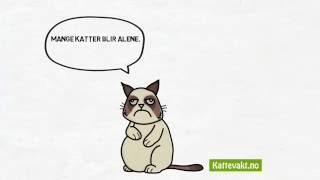 Download Lagu Katt i ferien Download Lagu Katt i ferien