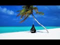 Heavenly Relaxing Peaceful Music,  Calm Music 24/7 😌 Tropical Waters Harp Music