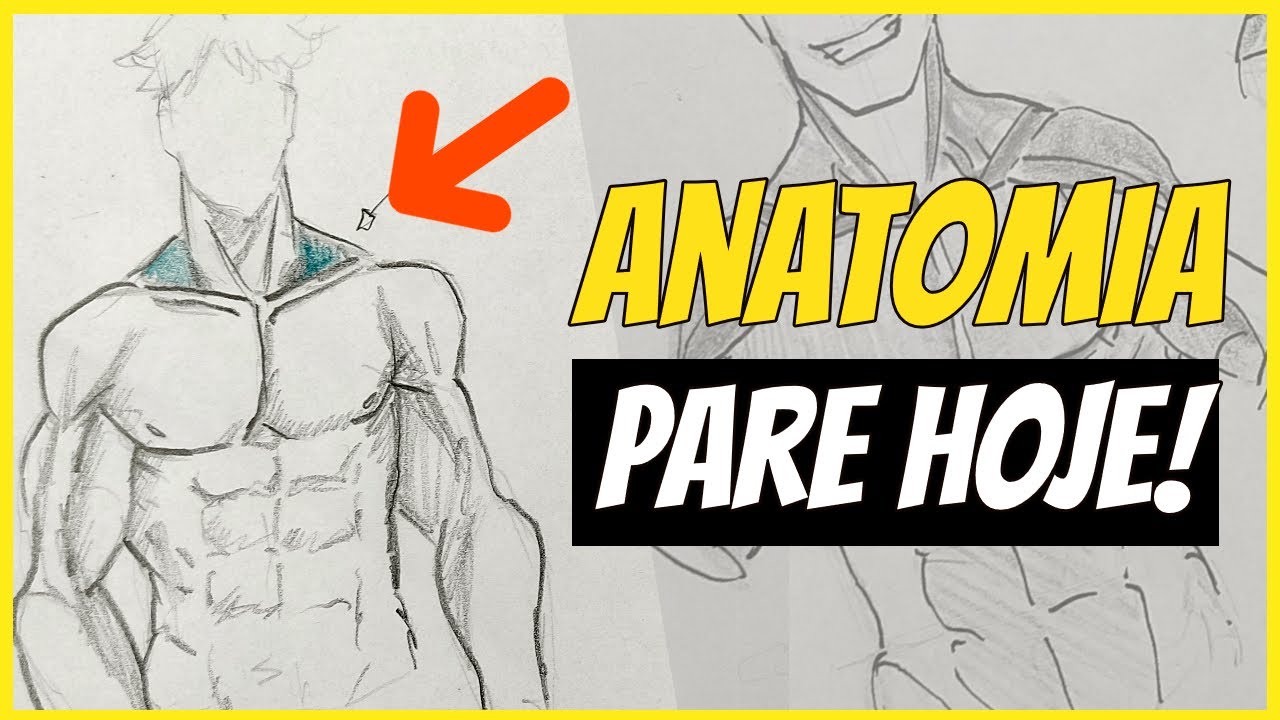 Anatomia masculina desenho anime