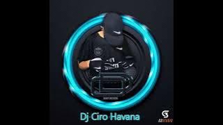 dps dj havana vol 15 2024