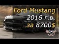 Встреча Ford Mustang 2016 г.в. за 8700$. [2019]