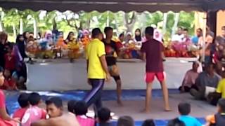 Plima gocoh-selendang kuning-