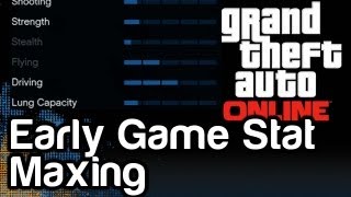 GTA 5 Online Lifestyle & Driving Stat Maxing PRO TIPS | WikiGameGuides