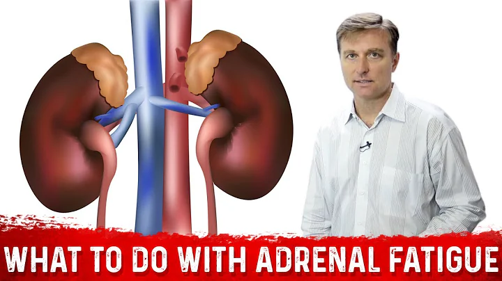What To Do If You Have Adrenal Fatigue  Dr. Berg S...