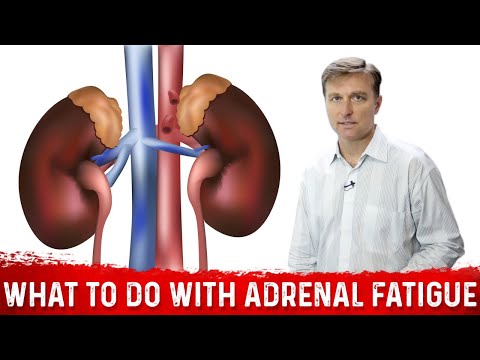 What To Do If You Have Adrenal Fatigue