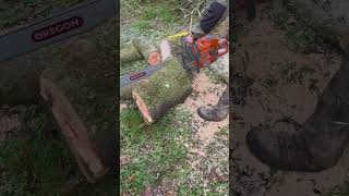 husqvarna power 😈 #husqvarna #592xp #chainsaw #chainsawman #husqvarnafrance