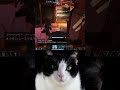 #cat #cats #cute #cutecat #apex #apexlegends #chipichipi #chipichipichapachapa #エーペックス #エーペックスレジェンズ