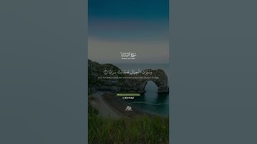 جَزَآءًا وِفَاقًا || طارق محمد || من سورة النَّبَأ