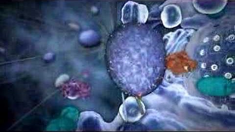 Get Expelled - Cellular Animation Movie Clip