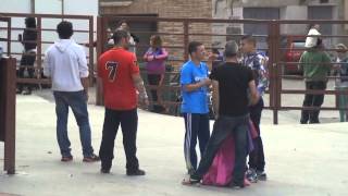 VACAS EN RINCON DE OLIVEDO (LA RIOJA) 29- 04 -2015